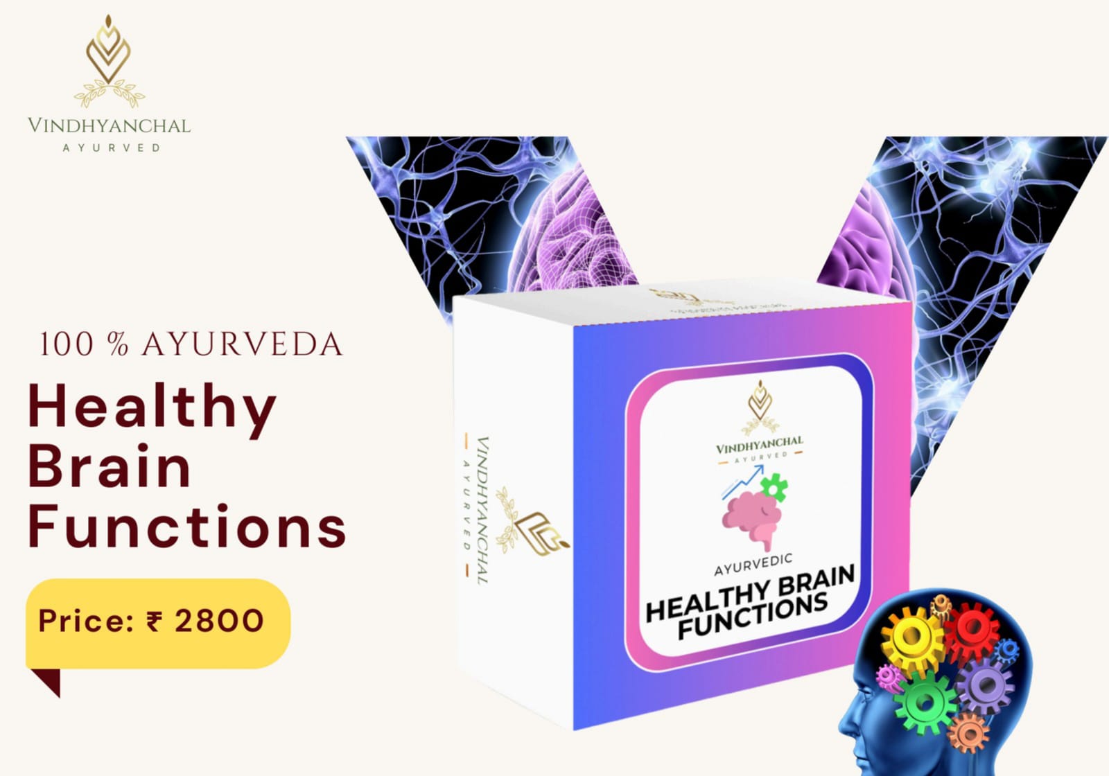 Healthy Brain Function